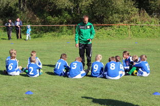 爱游戏网页版-五大联赛核心球员缺阵时教练战术应变差异分析，五大联赛主教练工资排名