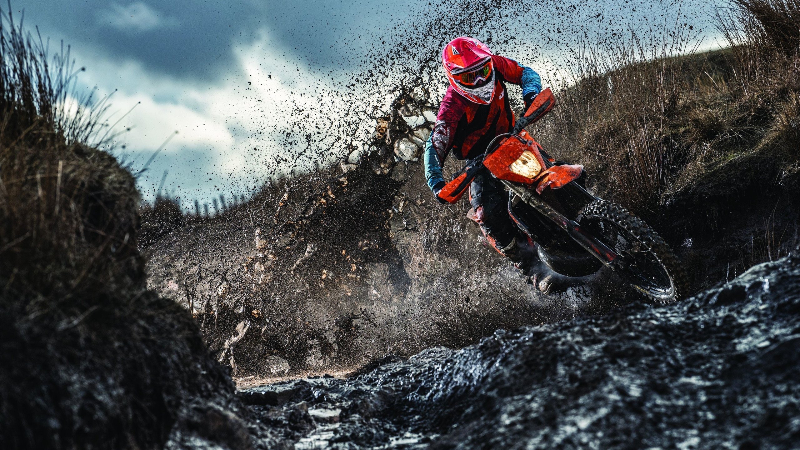 自由泳选手呼吸节奏调整成效显著,自由泳呼吸节奏怎么练