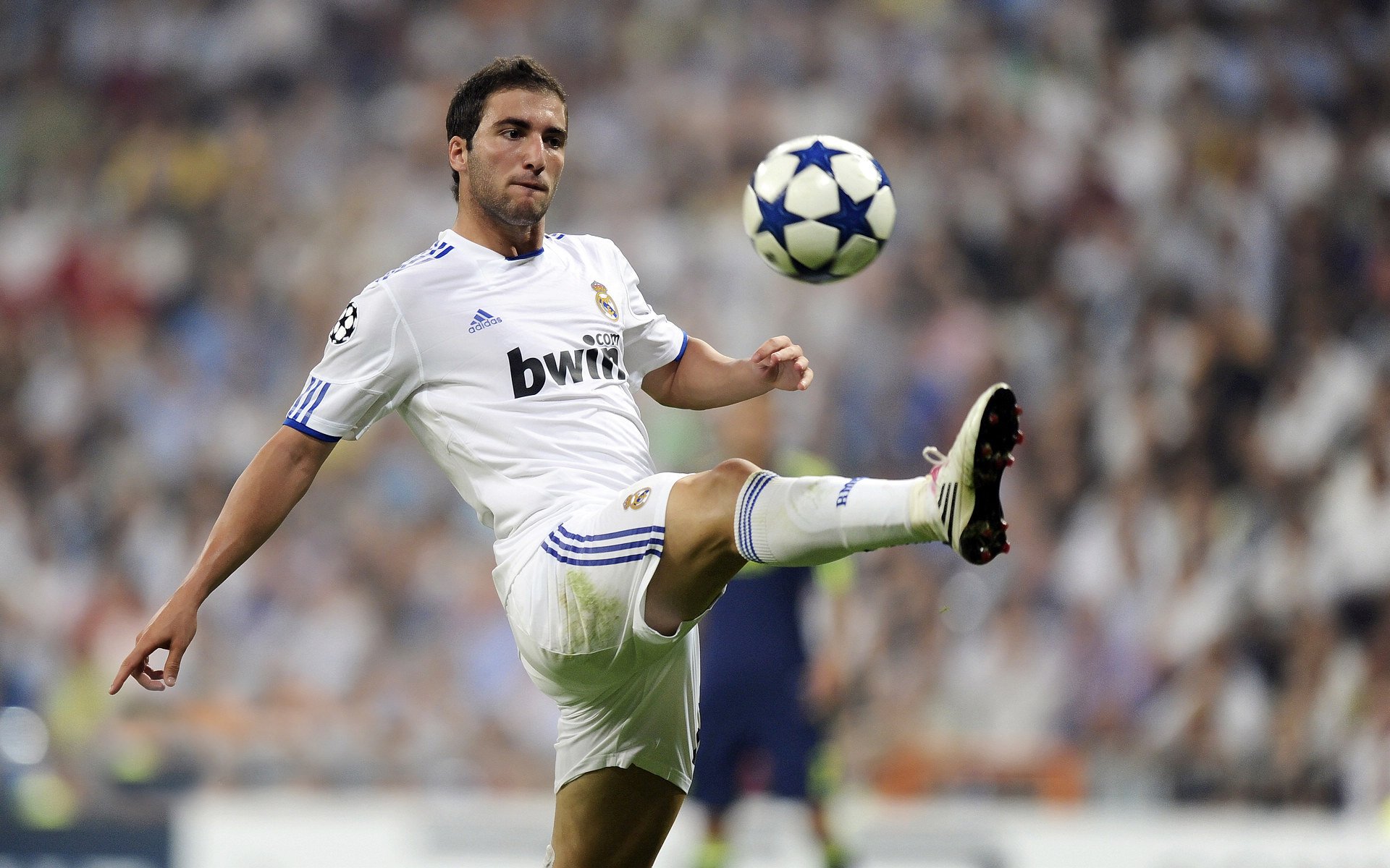 体育题材纪录片热播勾起观众对过往经典的回忆,体育相关纪录片